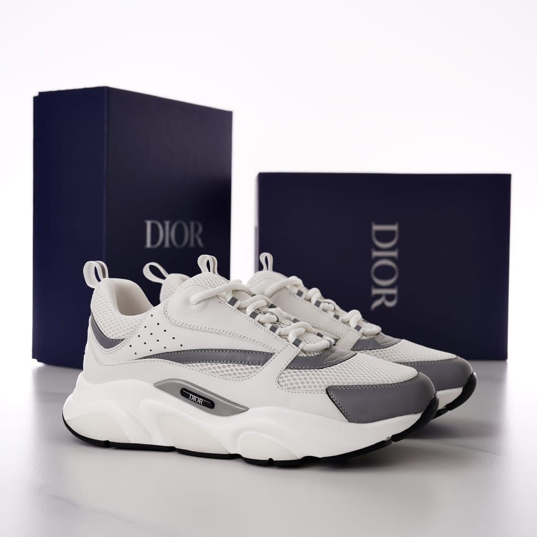 Dior B22s