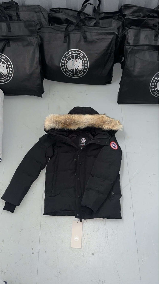 Canada goose Wyndham