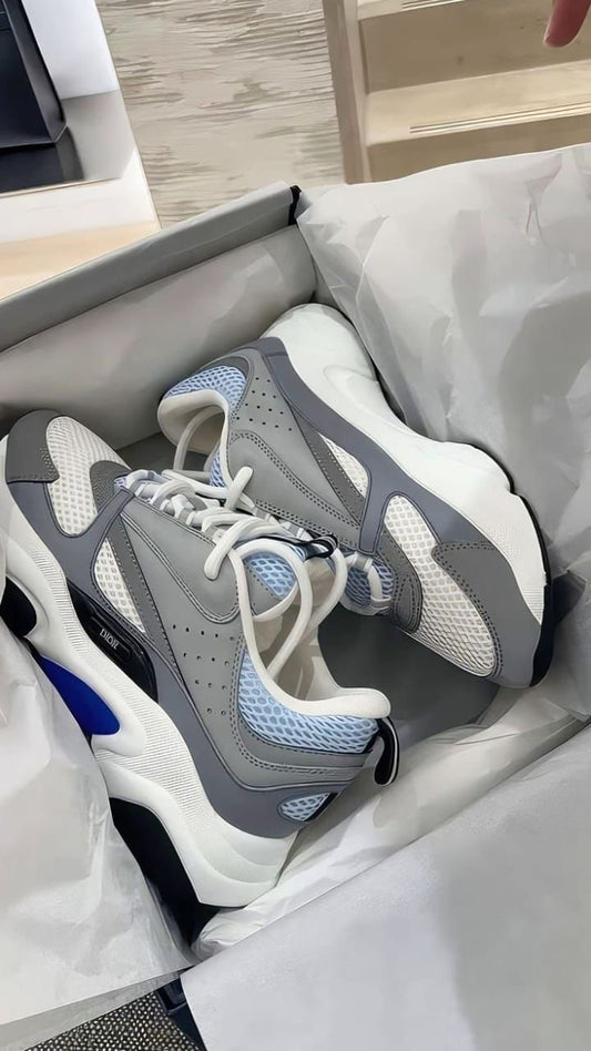Dior b22s